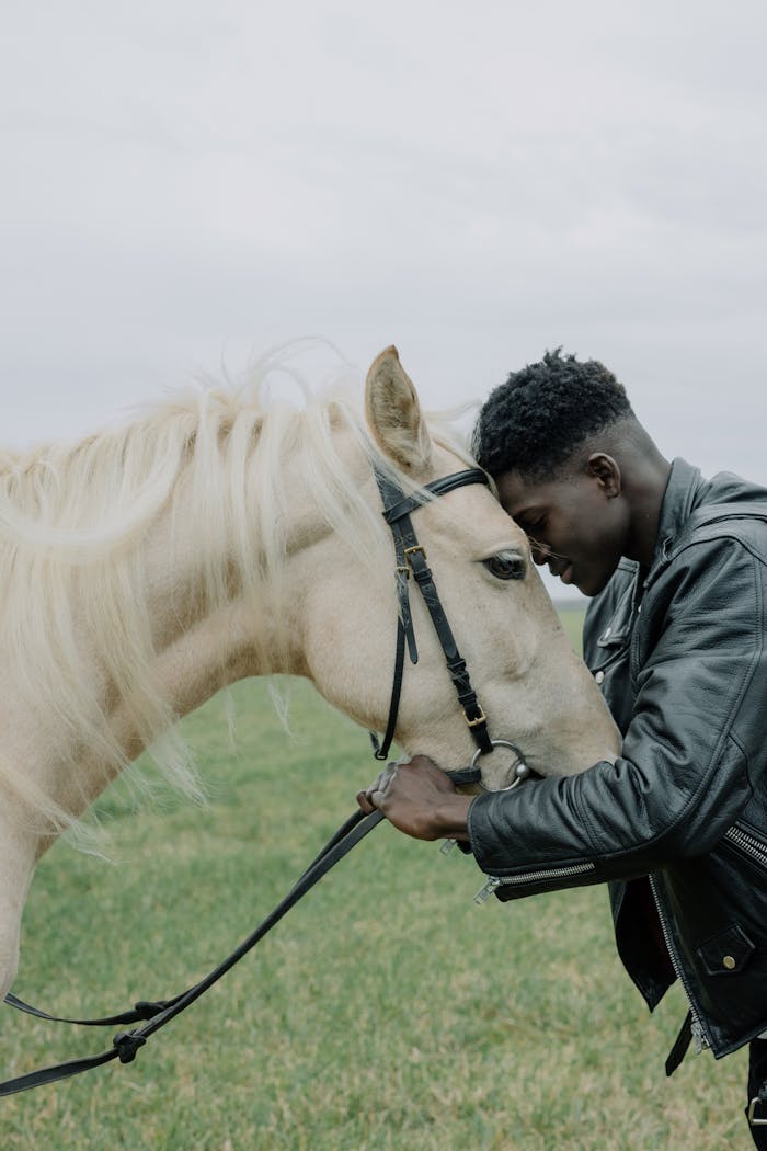 brand-03 A man and horse share a tender connection in a grassy field, showcasing care and affection.